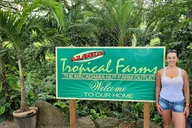 Honolulu Botanical Garden & Waterfall Tour thumbnail 6