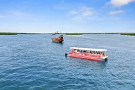 Madeira Beach Dolphin Watching Eco Cruise 90 Min thumbnail 1