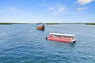Madeira Beach Dolphin Watching Eco Cruise 90 Min