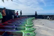 Kailua-Kona Clear Bottom Kayak Rental thumbnail 3