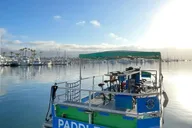 Newport Beach Paddle Pub Party Cruise thumbnail 3