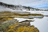 Yellowstone and Grand Teton Winter Tour 5-Day thumbnail 5