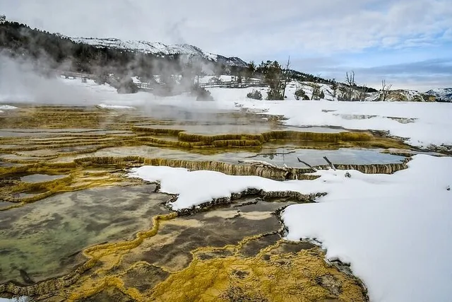 Yellowstone and Grand Teton Winter Tour 5-Day - Image 5