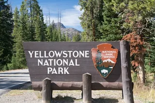 Bozeman Yellowstone Tour