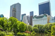 New York City Central Park Walking Tour thumbnail 3