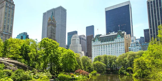 New York City Central Park Walking Tour - Image 3