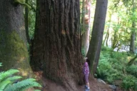 Seattle Waterfalls & Hiking Tour thumbnail 6