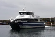 Juneau Whale Watching Cruise 4 hr thumbnail 5