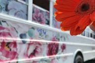 Charlotte Bridgerton Inspired Tea Tour 2 hr thumbnail 2