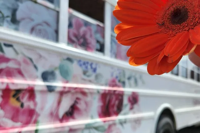 Charlotte Bridgerton Inspired Tea Tour 2 hr - Image 2