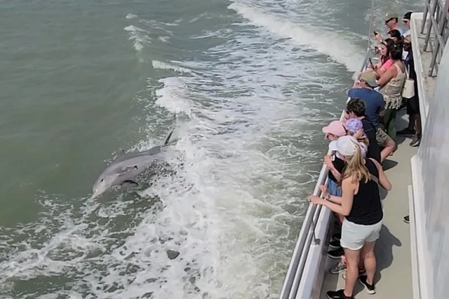 South Padre Island Dolphin Watch & Eco Tour 90 Min - Image 3