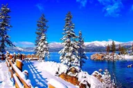Oakland Lake Tahoe Small Group Tour thumbnail 6