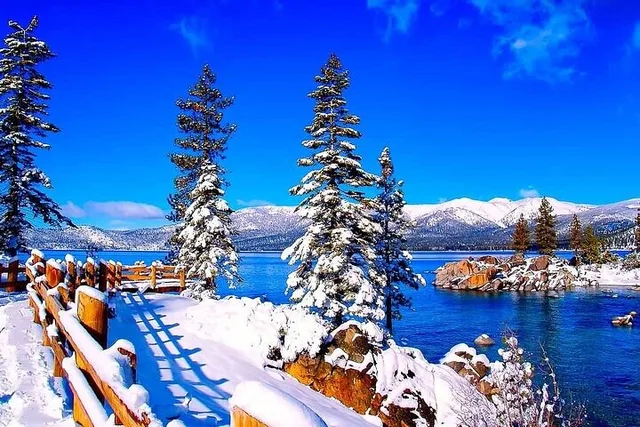 Oakland Lake Tahoe Small Group Tour - Image 6