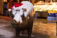 Seattle Food Tour: Donuts & Holiday Cheer thumbnail 4