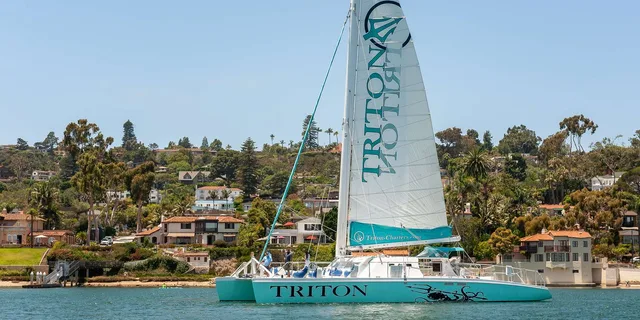 San Diego Harbor Catamaran Cruise 2.5 hr - Image 2