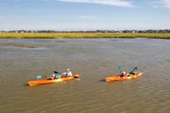 Folly Beach Dolphin Kayak Tour thumbnail 4