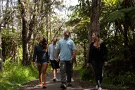 Hawaii Sightseeing Tour thumbnail 1