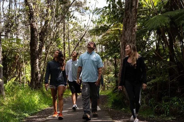 Hawaii Sightseeing Tour - Image 1