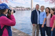Washington, DC Cherry Blossom Cart Tour 2 hr thumbnail 3