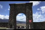 Cody Yellowstone Wildlife and Photo Tour Upper Loop thumbnail 5