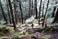 Sitka Tongass National Forest Hike thumbnail 2