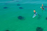 Destin Dolphin and Snorkeling Adventure thumbnail 4