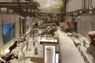 Washington D.C. Smithsonian Museum Chinese Tour 1.5 hr thumbnail 5