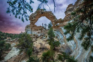 Kanab UTV Tour to Inchworm Arch 5 Hr