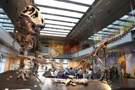Los Angeles Natural History Museum Admission thumbnail 1