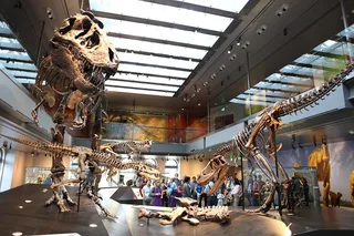 Los Angeles Natural History Museum Admission