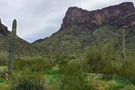 Phoenix Historical Tour of Southern Arizona thumbnail 6