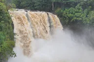 Hilo Waterfalls, Black Sand Beaches, and Volcano Tour thumbnail 6