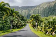 Oahu Private Nature and Turtle Tour 6 hr thumbnail 5