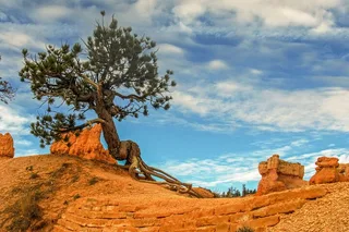Sedona Colorado Plateau Private Tour