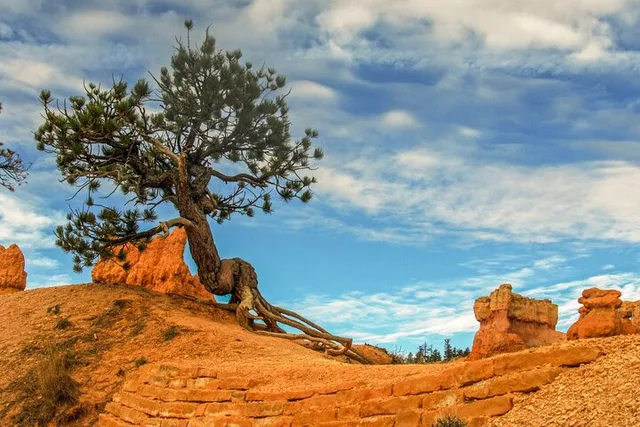 Sedona Colorado Plateau Private Tour - Image 1
