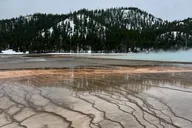 Yellowstone Safari Tour with Old Faithful & Grand Prismatic thumbnail 2