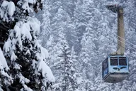 Anchorage Wildlife and Alyeska Tram Tour thumbnail 4
