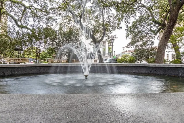 Savannah Photography Tour with Local Photographer 2 hr - Image 5