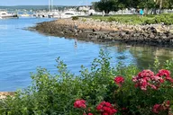 Boston Plymouth Private Tour 4 hr thumbnail 6