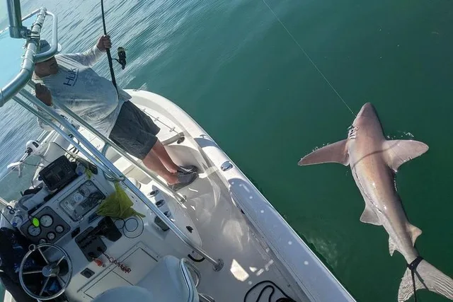 Fort Myers Beach Fishing Charter - Image 4