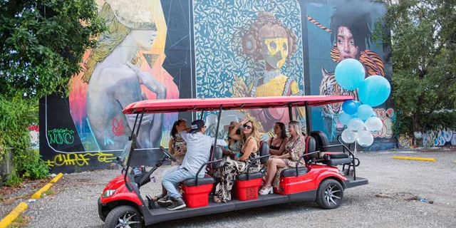 Miami Wynwood Art District Buggy Tour 1 hr - Image 3
