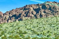 Las Vegas Red Rock Canyon Tesla Self-Guided Tour thumbnail 4