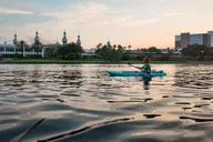 Tampa Clear Kayak Night Tour thumbnail 6