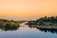 Miami Everglades Airboat Tour thumbnail 2