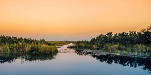 Miami Everglades Airboat Tour - Image 2