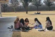 Las Cruces Wine Shuttle thumbnail 6
