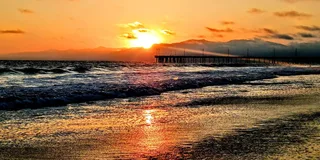 Marina del Rey Wine and Dine Boat Cruise