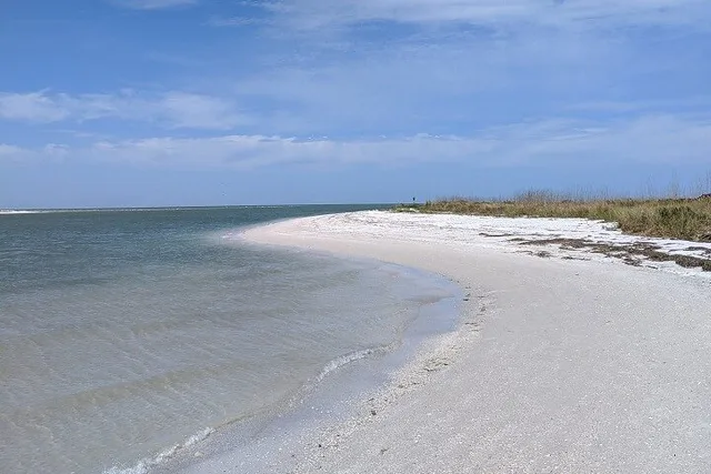 Tierra Verde Shell Key Ferry - Image 6