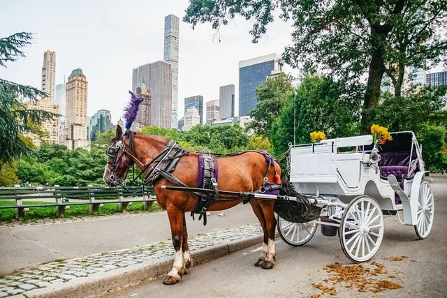 New York City Central Park Horse Carriage Ride - Image 1