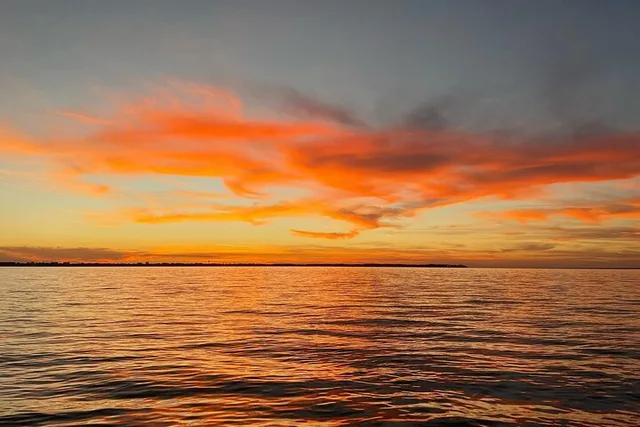 Santa Rosa Beach Dolphin Cruise - Image 5